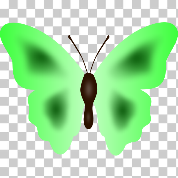 Free: SVG Butterfly in green color - nohat.cc