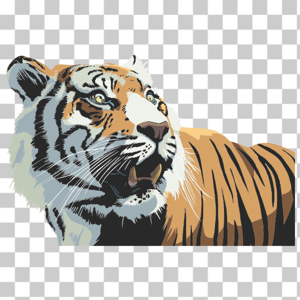 animal,feline,head,predator,tiger,Big Cat,Source+Pixabay,svg,freesvgorg