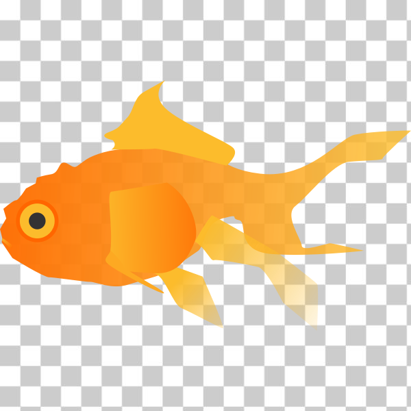 fish,gold,goldfish,svg,freesvgorg