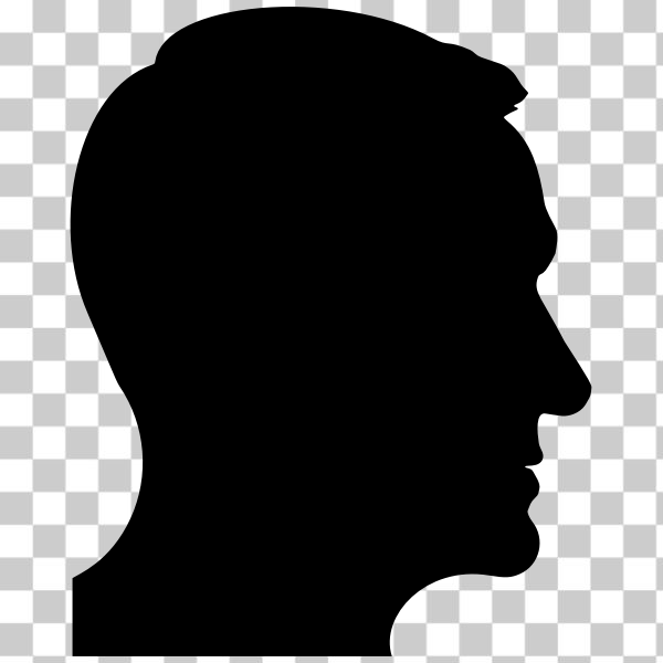 Head,Neck,Jaw PNG Clipart - Royalty Free SVG / PNG