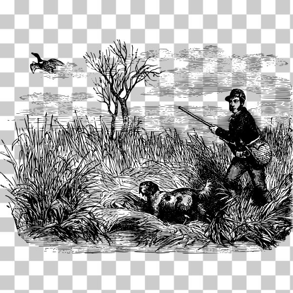 bird,Dog,drawing,Duck,grass,hunt,hunting,illustration,nature,plant,river,Water bird,Ducks, geese and swans,Hunting dog,gamekeeper,svg,freesvgorg