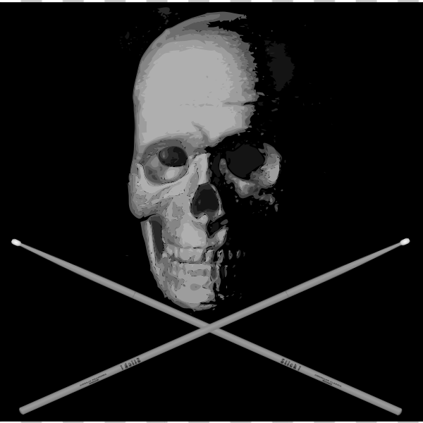 art,drums,font,illustration,photography,physicist,pirate,skull,black and white,drumsticks,jolly rogers,svg,freesvgorg