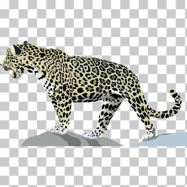 Felidae,Terrestrial animal,Vertebrate,Big cats,African leopard,spotted,svg,freesvgorg,carnivore,cat,feline,jaguar,leopard,mammal,predator,wildlife,Animal figure