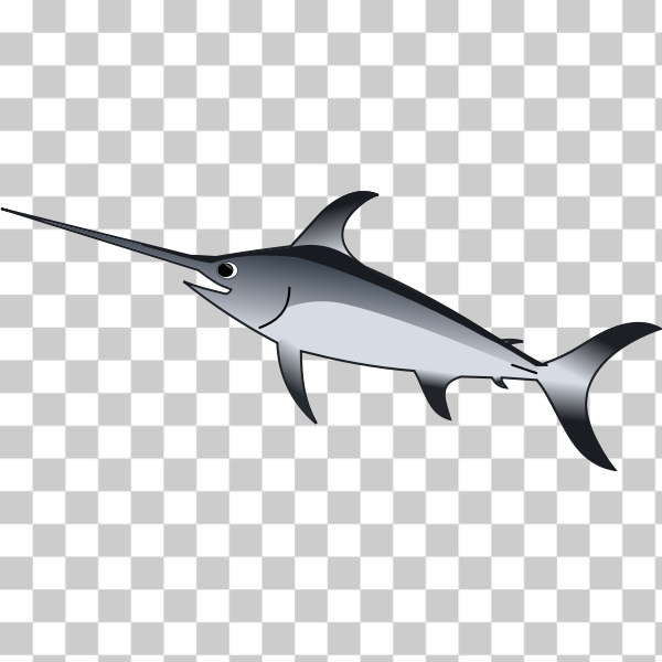 Ray-finned fish,Bony-fish,Fin,Marlin,Atlantic blue marlin,gladius,xiphias,xiphiidae,svg,animal,fish,ocean,predator,sea,shark,sword,swordfish,freesvgorg
