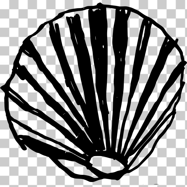 clip-art,drawing,graphics,illustration,line,line-art,scallop,shell,black and white,Coloring book,svg,freesvgorg