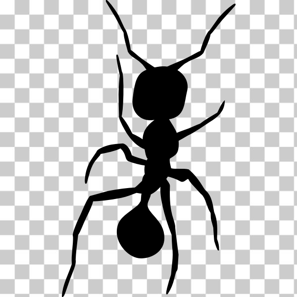 ant,bug,color,coloring,colour,colouring,insect,realistic,silhouette,silueta,TpT,hormiga,svg,freesvgorg