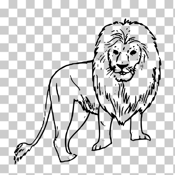 Free: SVG African lion vector line art 