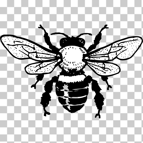 freesvgorg,animal,bee,bi,externalsource,fly,honey bee,insect,stamp art,Honey bee,svg