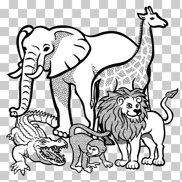 Big outline handdrawn collection of tropical animals. Simple cute  illustration for design t shirts, posters, cards. Vector illustration Stock  Vector | Adobe Stock