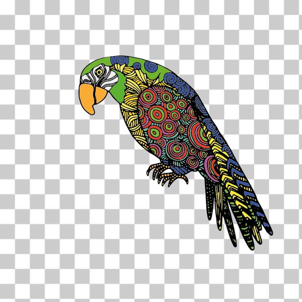 abstract,animal,bird,colorful,detailed,fly,parrot,svg,freesvgorg