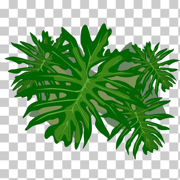 freesvgorg,branches,flora,folha,green,leaf,nature,philodendron,plant,svg,filodendro