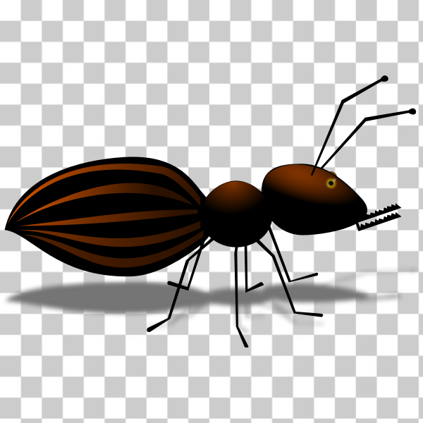ant,cartoon,insect,svg,freesvgorg