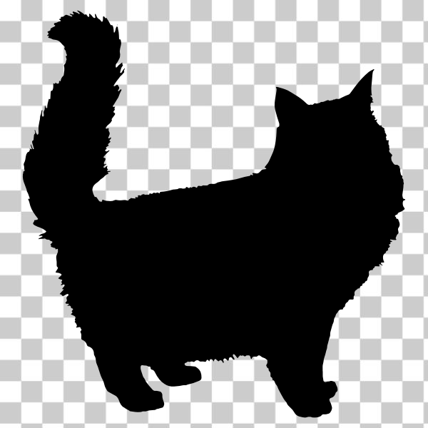 Free: SVG Fluffy cat silhouette - nohat.cc