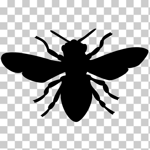 bee,black,honey,insect,insects,silhouette,svg,Bees! Bees! Bees!,freesvgorg