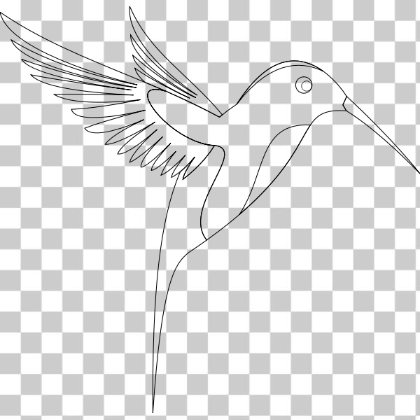 freesvgorg,bird,Birdie,birds,black,colibri,contour,drawing,illustration,svg,white,kolibri