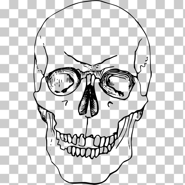 black,bone,dead,head,skeleton,skull,svg,freesvgorg