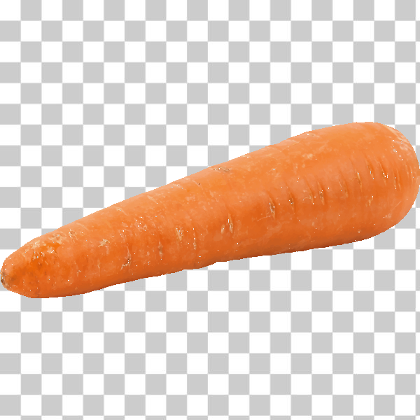 carrot,food,groceries,plant,root,taproot,vegetable,svg,freesvgorg