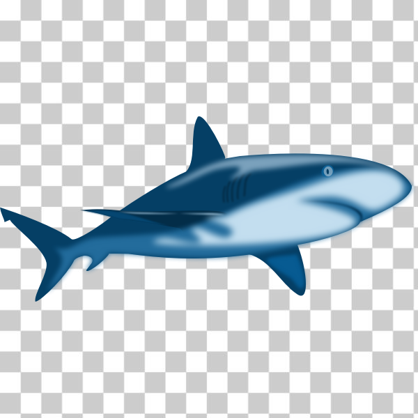blue,danger,Jaws,ocean,sea,shark,water,Used in games,svg,freesvgorg