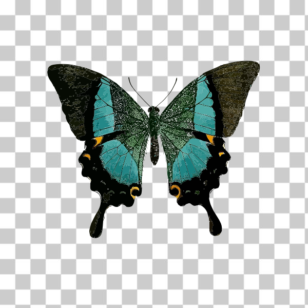 freesvgorg,animal,blue,butterfly,insect,mariposa,nature,svg,wild,inseto,animal borboleta