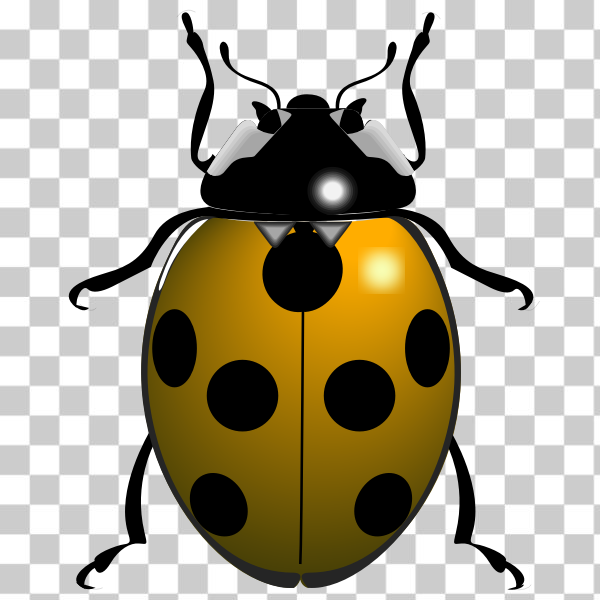 bug,bugs,clipart,insect,insects,ladybug,line art,lineart,svg,freesvgorg