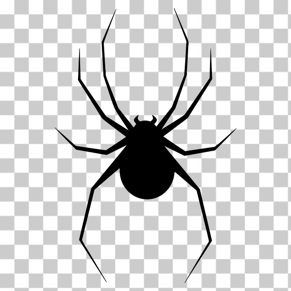 Spider 8 Svg Spider Svg Bug Svg Arachnid Svg Spider C - vrogue.co