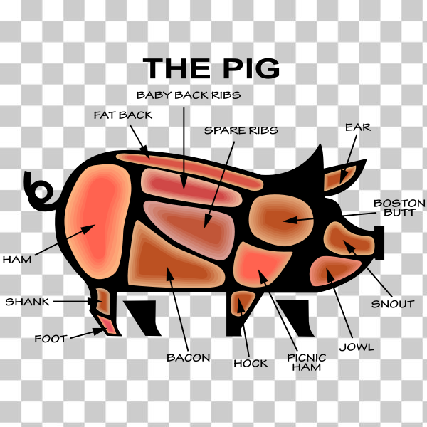 animal,butcher,clipart,food,icon,infographic,line art,meat,Pig,pork,svg,freesvgorg
