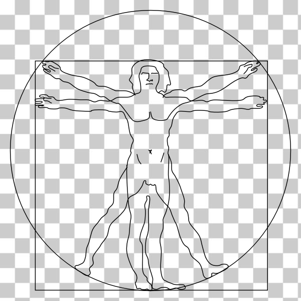 arm,arms,body,circle,frontal,human,leg,svg,freesvgorg