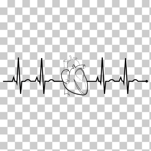 निःशुल्क: SVG EKG यथार्थवादी हृदय - nohat.ccनिःशुल्क: SVG EKG यथार्थवादी हृदय - nohat.cc  