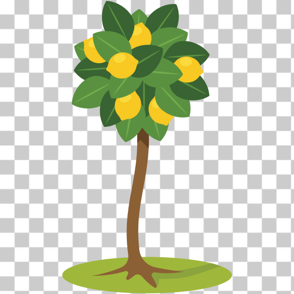Free: SVG Lemon tree symbol - nohat.cc