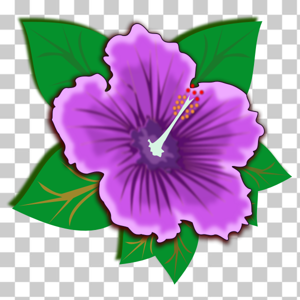 svg,freesvgorg,clip art,flor,flora,Flores,flower,flower shop,landscape,landscaping,nature,plant,spring