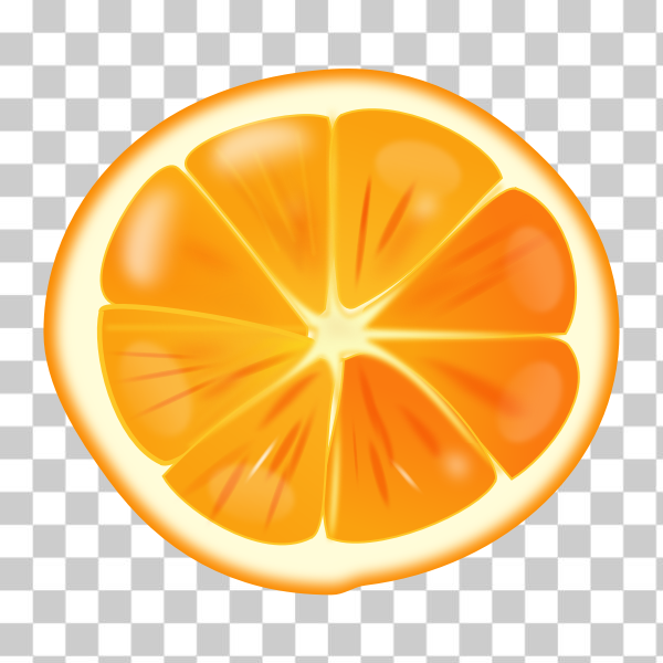 citrus,favorites,food,fruit,orange,slice,sliced,svg,remix+88663,freesvgorg