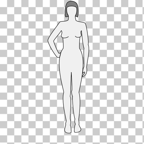 Woman body sketch Vectors & Illustrations for Free Download