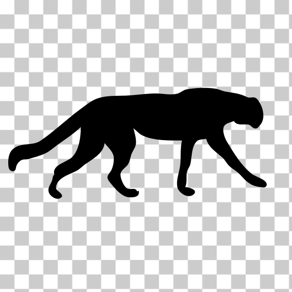 Vector Silhouette Of Cheetah On White Background. Royalty Free SVG,  Cliparts, Vectors, and Stock Illustration. Image 78794687.