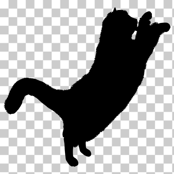 Free: SVG Fluffy cat vector silhouette - nohat.cc