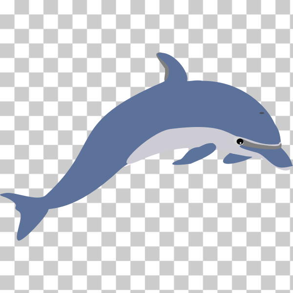 animal,blue,dolphin,fish,mammal,ocean,sea,cetacean,svg,freesvgorg
