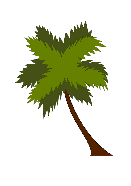 plants,tree,palm tree,Woody plant,Plant stem,svg,freesvgorg,botany,branch,clip-art,clipart,coco,cocoa,green,leaf,nature,plane,plant