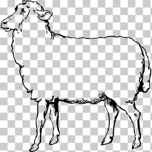 animal,clip art,clipart,externalsource,food,meat,mutton,Sheep,Non-Humans,svg,freesvgorg