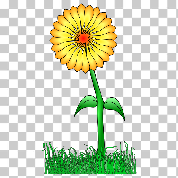 botany,clip-art,flower,flowers,graphics,orange,petals,plant,plants,yellow,Plant stem,Flowering plant,english marigold,svg,freesvgorg