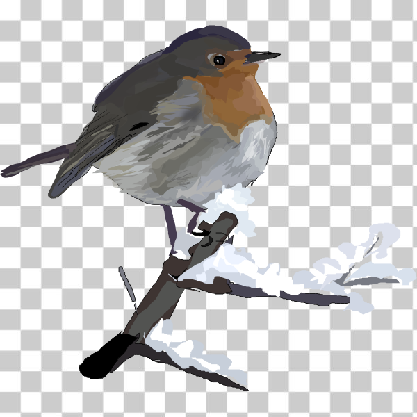 beak,bird,birds,robin,songbird,wren,Perching bird,Old World flycatcher,European robin,robin bird snow wildlife,svg,freesvgorg
