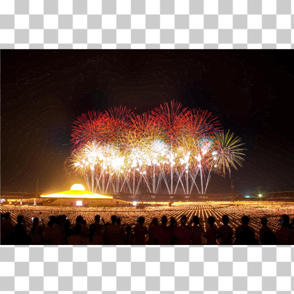 books,celebration,eve,event,festival,fireworks,holiday,Midnight,night,photograph,sky,new years day,Fête,new years,svg,freesvgorg