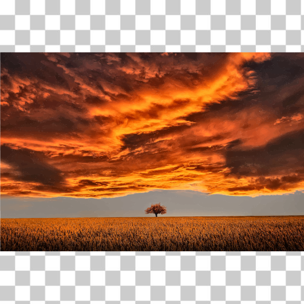 afterglow,clouds,field,horizon,landscape,nature,photo,photograph,plain,sky,sunrise,sunset,tree,Natural landscape,Red sky at morning,Scorched,svg,freesvgorg