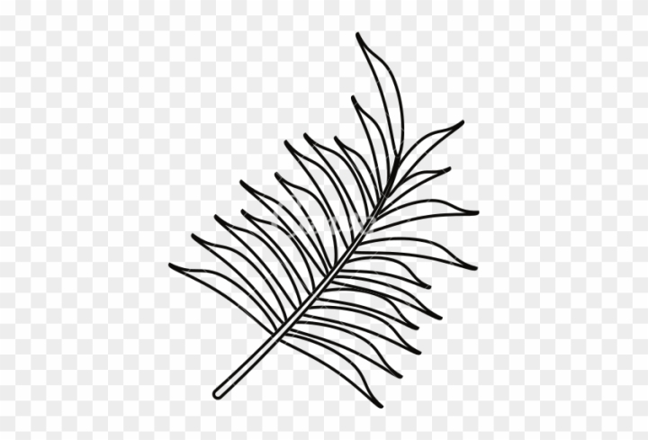 Tropical Leaves Set Hand Drawn Line Art, Tropical Drawing, Leaves Drawing,  Tropical Sketch PNG and Vector with Transparent Background for Free Download