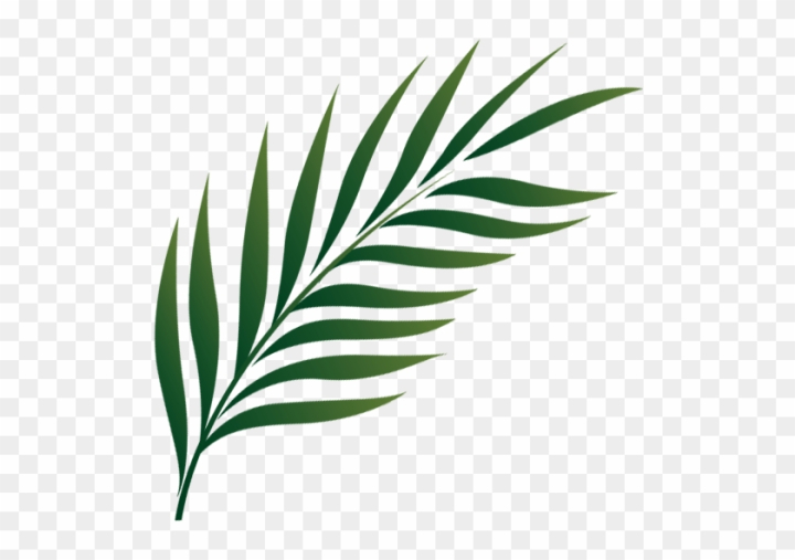 game,symbol,flower,logo,palm tree,business icon,plant,flat,abstract,phone icon,leaf pattern,social,tree,business icons,branch,button,school,people icon,maple leaf,leaf,autumn,flowers,summer,palm sunday,green leaf,go green,autumn leaves,tropical,fall leaves,leaves,leave,hand,pattern,education,palm,natural,fall,lines,oil,merry go round,png,comclipartmax