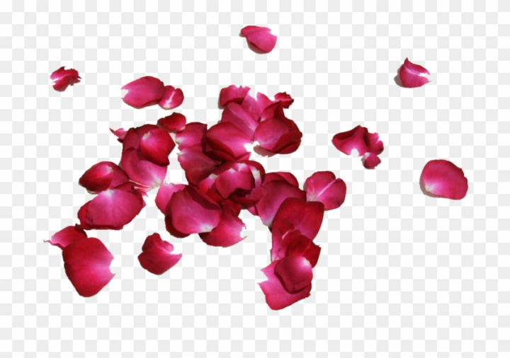 computer,flower,abstract,roses,like this,background,flowers,floral,sharing,wallpaper,leaves,decoration,this way,pattern,lines,red rose,communication,pink rose,nature,rose petals,technology,white rose,colorful,rose garden,connection,ornament,decorations,vintage rose,business,romantic,photo,flower background,symbol,valentine,imagination,leaf,mobile,wedding,picture,blossom,png,comclipartmax
