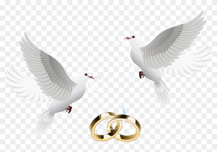 Free: Wedding Invitation Clip Art - Wedding Dove Png 