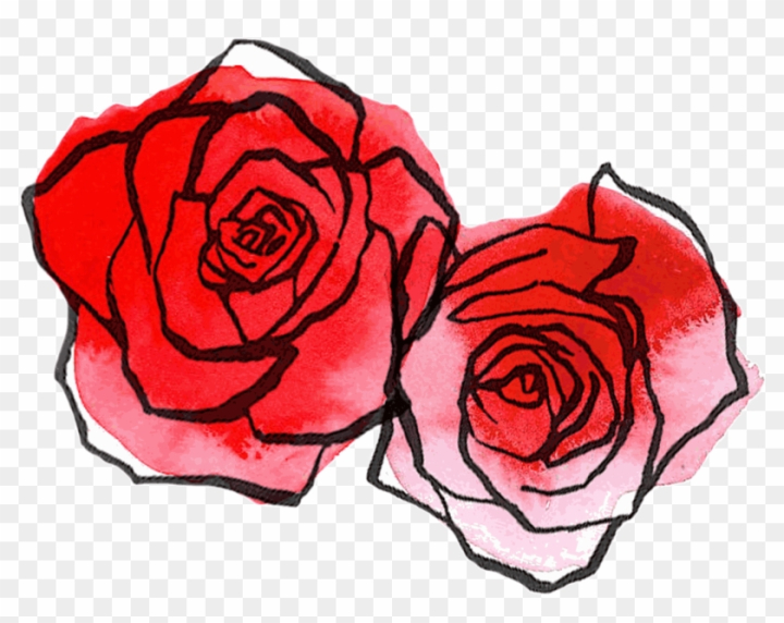 Free Red Rose Drawing At Getdrawings  Red Rose Drawing Png  nohatcc