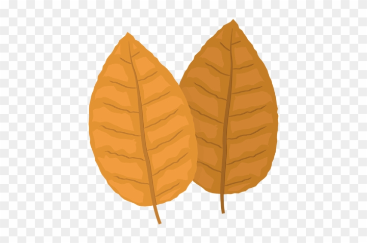 Free: Yellow Tobacco Leaves Illustration - Tobacco Leaf Cartoon Png -  