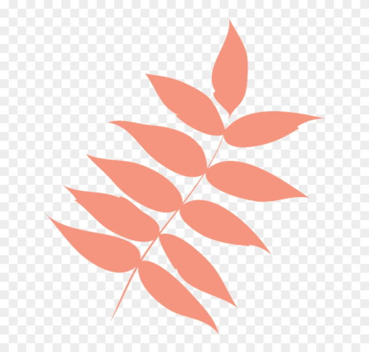 autumn leaves vector png