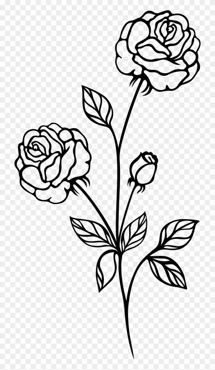 Black And White Flower png download - 529*938 - Free Transparent Rose png  Download. - CleanPNG / KissPNG