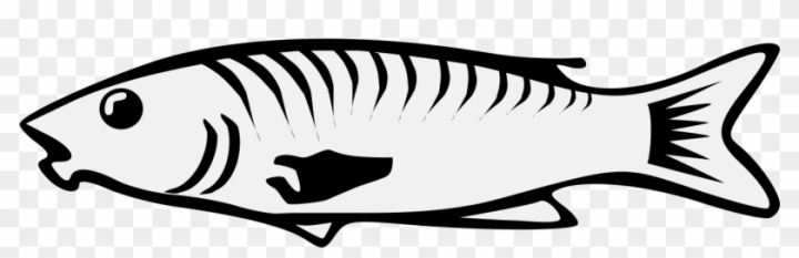 Reel Big Fish Logo PNG Vector (EPS) Free Download